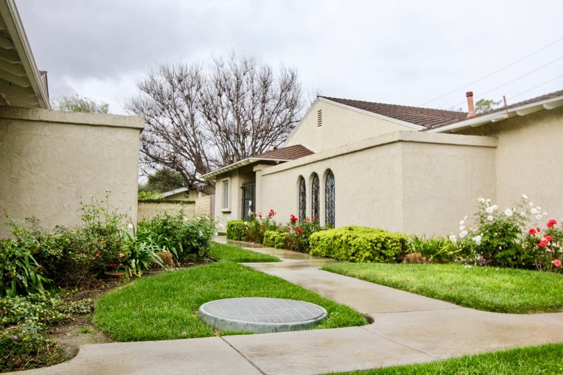 A sidewalk between two homes in the Green Valley Warner Village with grass and plants on each side and a tree in the background.