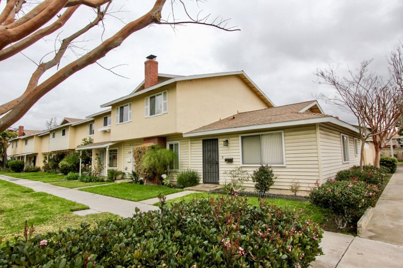 Row housing in the Harbor Valley neighborhood with established grass and shrubs in the front yards.