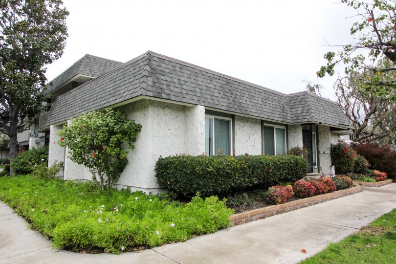 in Tiburon North, a villa is surrounded by full of cutting bushes, flowers, plants and trees