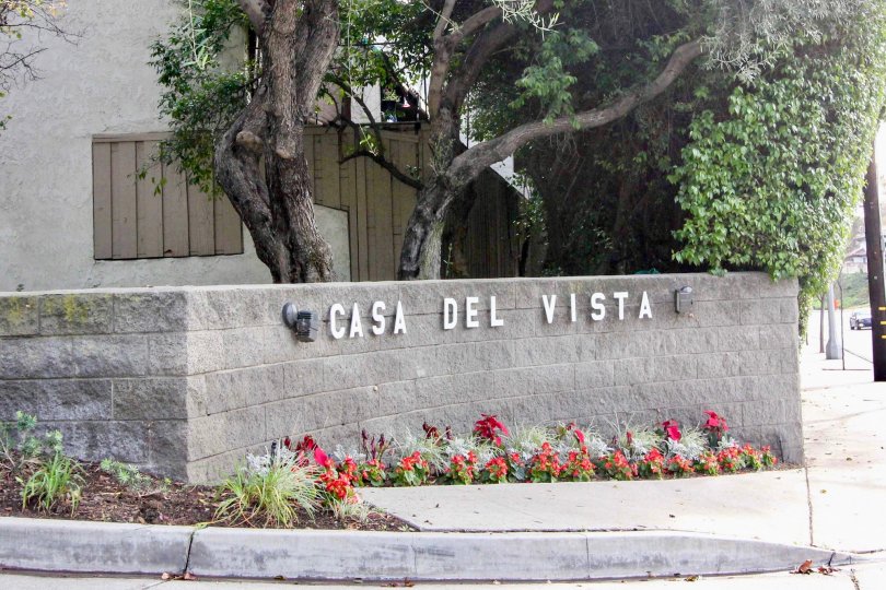 Casa Del Vista Fullerton California grey front wall with good looking flowery plants around it