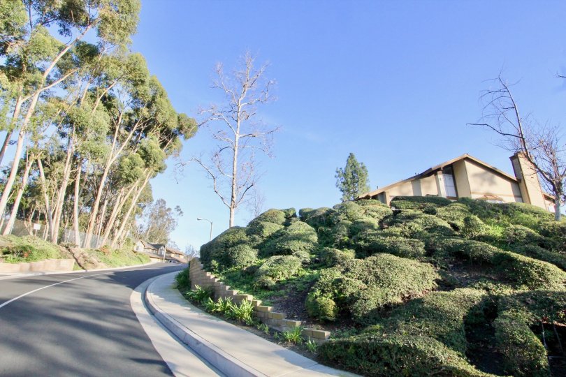 Long paved driveway with maintained lanscaping in Coyote Hills Greens