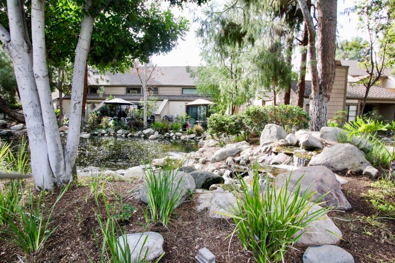 Waterfall and pond with lots of trees, plants and rocks in the Hidden Lakes community of Fullerton, CA.