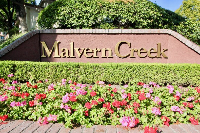 Malvern Creek Fullerton California cute front model which stoles our heart shines at a daytime