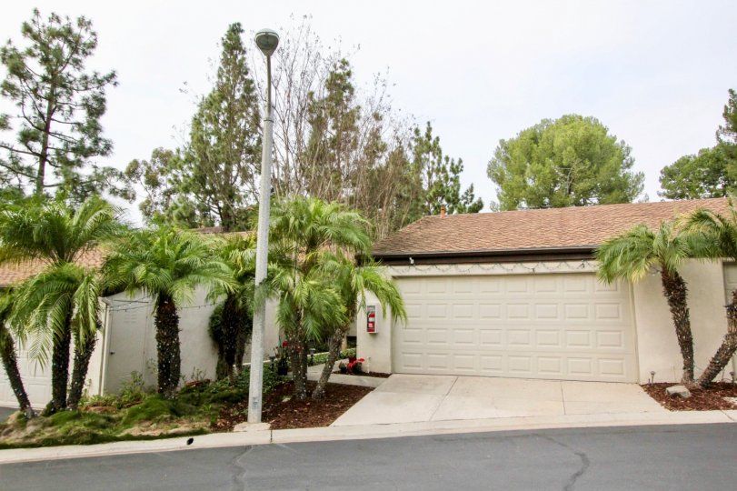 Multi car garage cream in color with palm trees surrounding the area in Park Vista community.