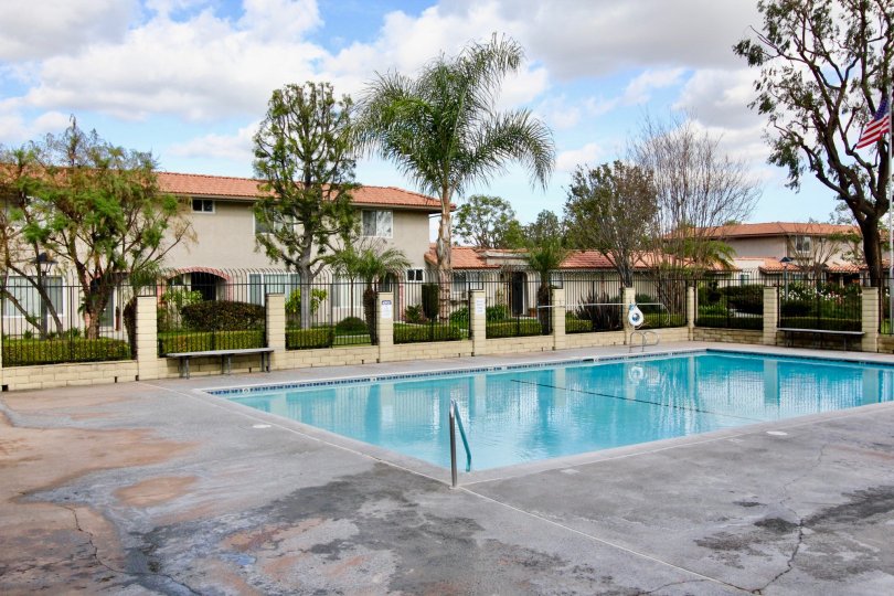 THE BUILDING IN THE LA JOLLA PLAZA WITH THE SWIMMING POOL, PLANTS, TREES