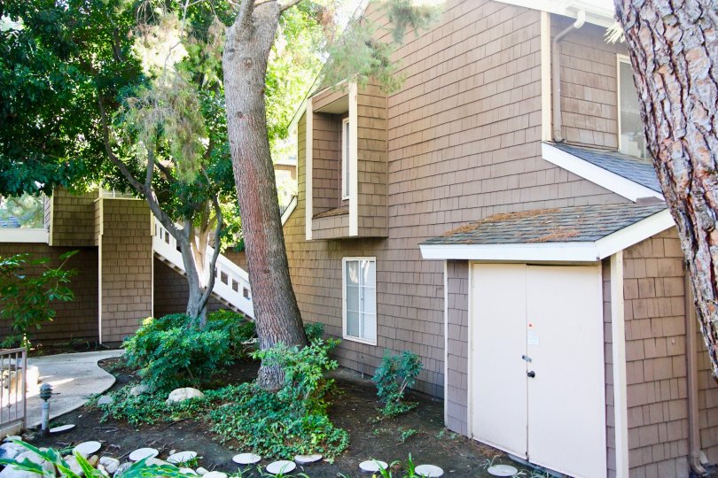THE HOUSE IN THE LAKE GROVE WITH THE UPSTAIRS, TREES, PLANTS