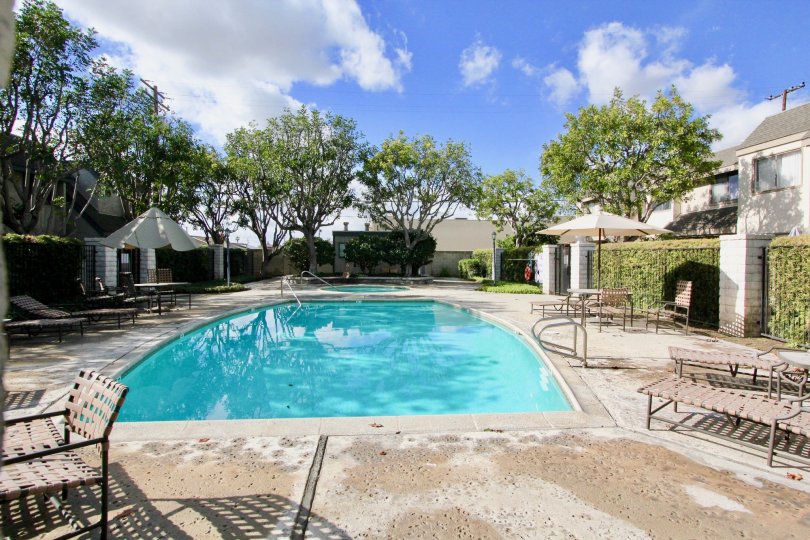 THE FLAT WITH IN THE LIVINGSTON MEADOWS THE CLOUDY SKY, PLANTS, SWIMMING POOL, TREES, CHAIRS