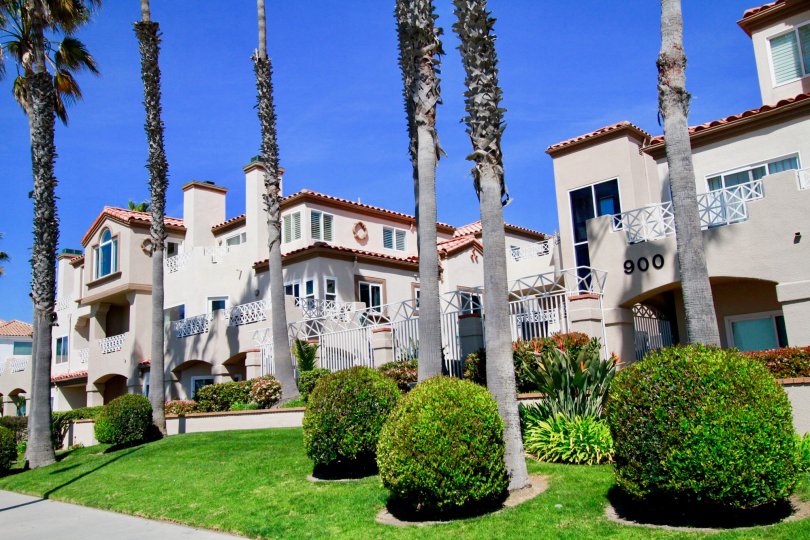 Excellent view of Palm trees and lawn in front of villas in Faire Rivage of Huntington Beach