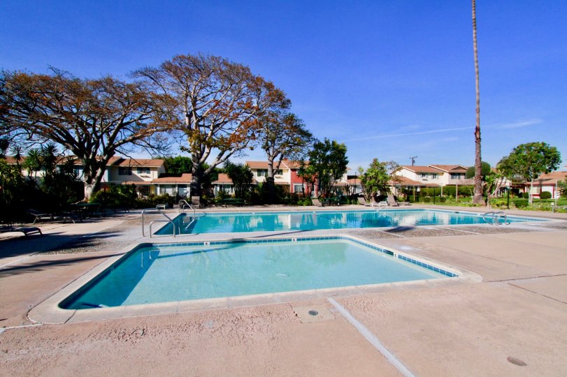THE SWIMMING POOL WITH A LONG TREE AND SMALL POOL ALSO NEAR TO THE BIG ONE AND SOME BUILDING ALSO AVAILABLE LITTLE FAR SURROUNDING THE POOL