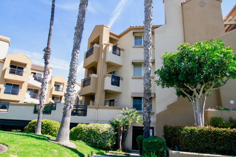 Bright sunny day with lawn and trees near apartments in Huntington Bayshore of Huntington Beach