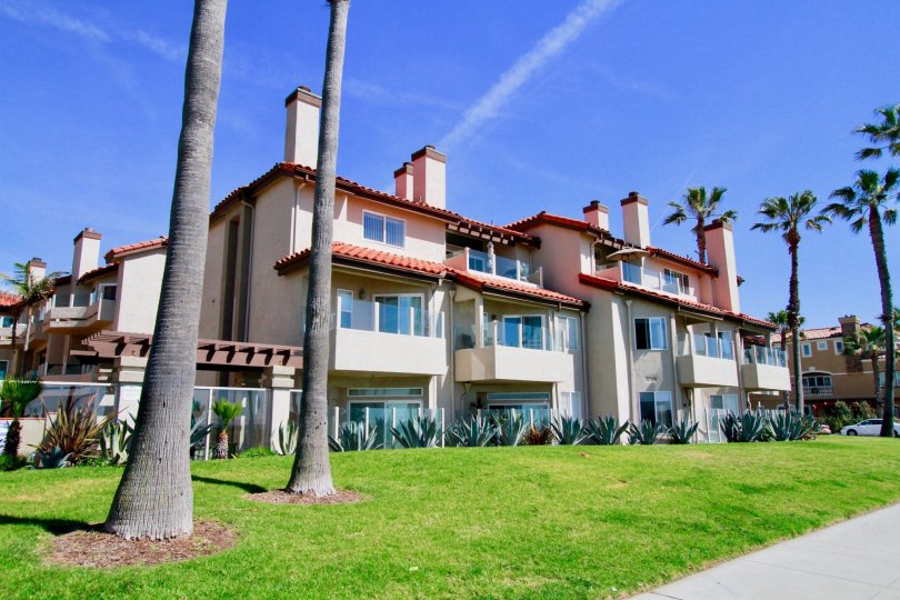 Excellent palm trees around villas having lawn in Ocean Breeze of Huntington Beach