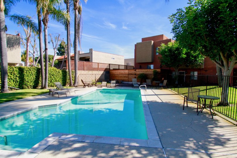 Good looking swimming pool with chairs and trees around in Pacific Terrace of Huntington Beach