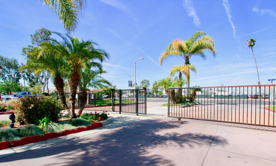 Gated entrance to Pierpointe with palm trees and a lamp on a sunny day.