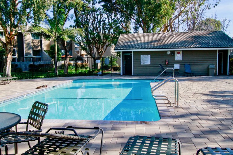 Village Court pool with lounge chairs and pool house on a sunny and cloudless day