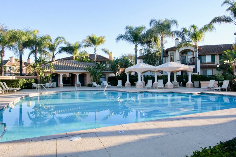 THE BEAUTIFUL SWIMMINGPOOL WITH LOT OF CHAIRS, TREES, BACKSIDE HOME IS SITUATED IN THE CITY OF IRVINE