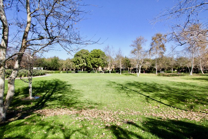 Casalon Green Park location Attractive view at Irvine city