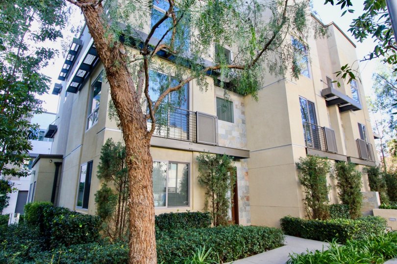 THE FRONT OF THE FLAT WITH PLANTS, TREES, GLASS WINDOWS ARE THERE WHICH IS LOCATED IN THE CITY OF IRVINE