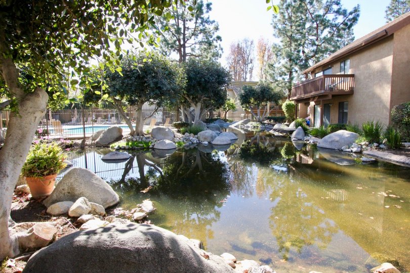 Nice view of a pond and trees near a villa in Orangetree Lake Condos of Irvine