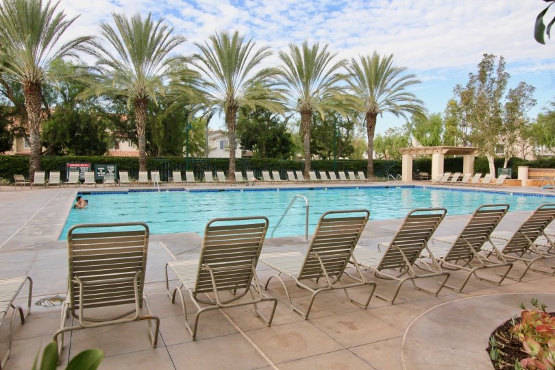 A beautiful swimming pool in the Parklane with some resting chair, shrubs and trees.