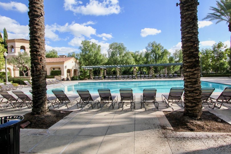 A view of the pool and lounge chairs and trees in the San Simeon community in Irvine, CA