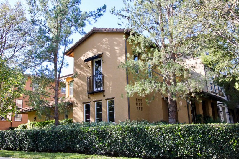 Front to the Villa in Sandalwood has tallest trees and bushes