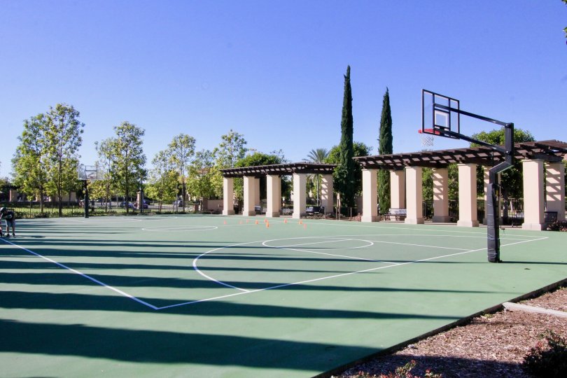 A person is taking a ball in Volley ball ground with trees in Santa Rosa