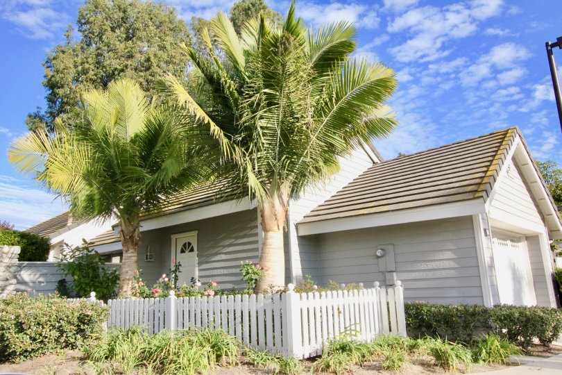 A sunny day in front of a single family home with palm trees in the Seaport neighborhood.