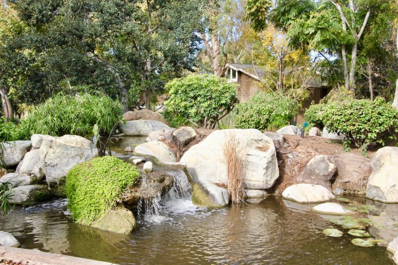 A relaxing pond and waterfall in The Lakes community