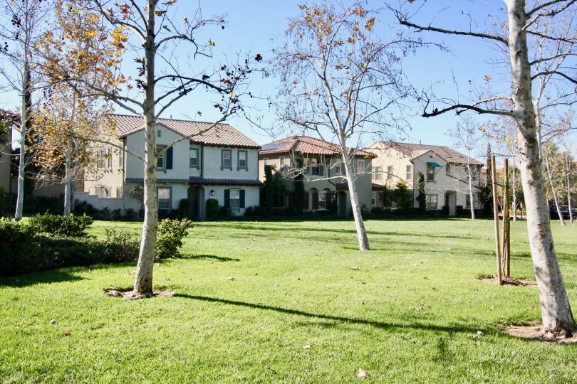 Large homes with trees around in Vientos community in Irvine, California.