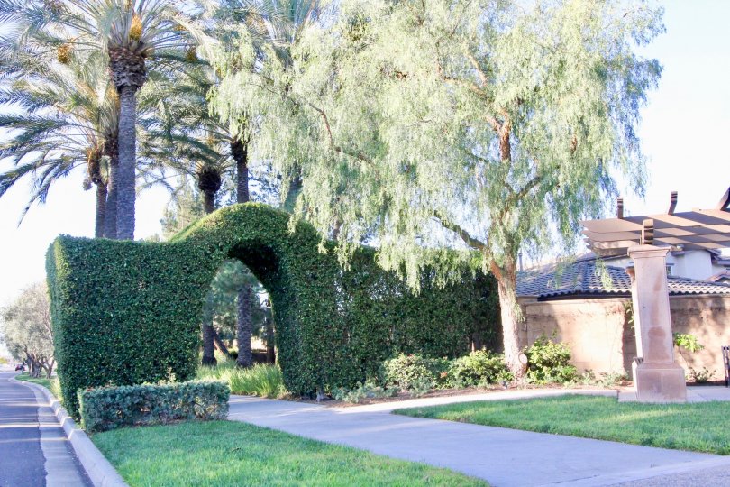 palm trees in front of arch decorated with plants in Vintners Reserve