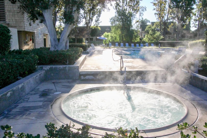 A view of the pool, hottub and lounge chairs and trees in the Woodbridge Crossing community in Irvine, CA