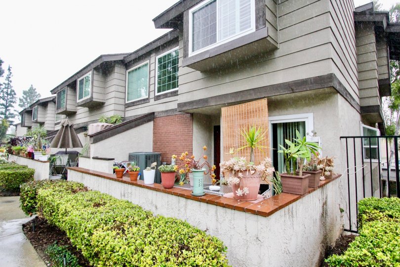 THE FLATS ON THE FRONT CROTONS, SMALL PLANTS, ON THE SIDE GATE IS THERE IN LA HABRA CITY