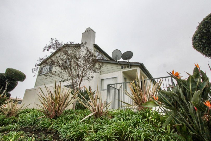 a pleasant day in the lakeview town homes with a building that has entrance gate closed and garden around and two dish anteanna in the top