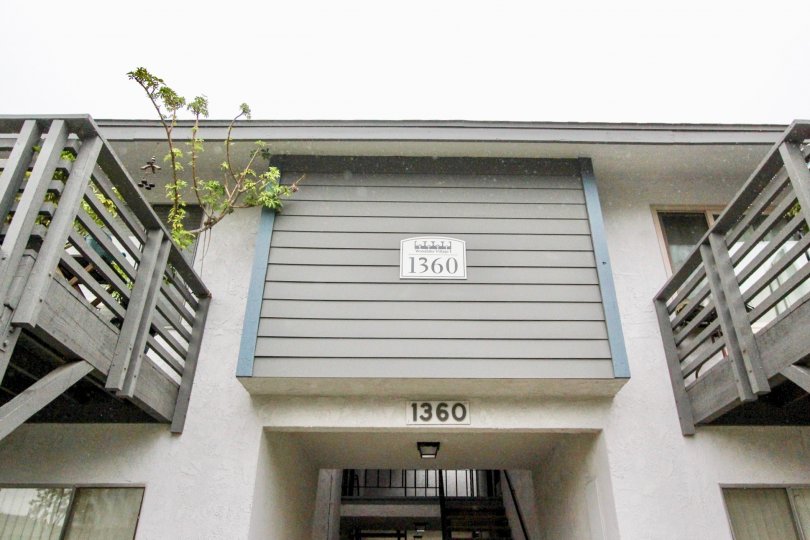 THE 1360 FLATS IN THE WOODLAKE VILLAGE WITH THE PLANTS, BALCONIS