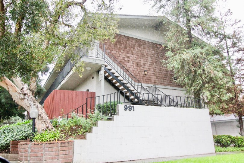A day in the Woodlake Villas with a staircase and tree.