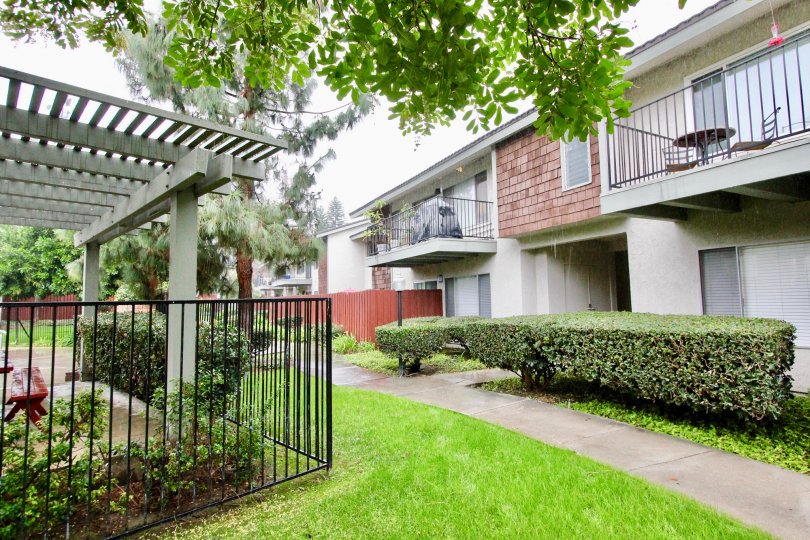 THIS IMAGE SHOWS THE PATHWAY TO ENTER THE HOME IN LA HABRA CITY, SHOWS LAWN WITH SMALL PLANTS ON EACH SIDE