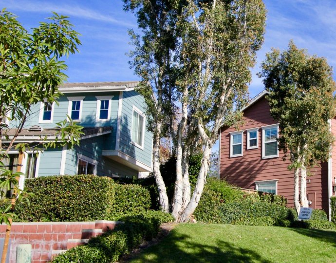 There are two trees and plants in front of two houses in the Potters Bend