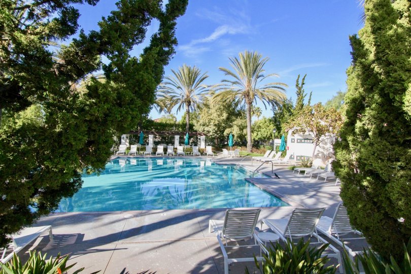Trees and a pool in St Mays Road in Ladera Ranch, CA