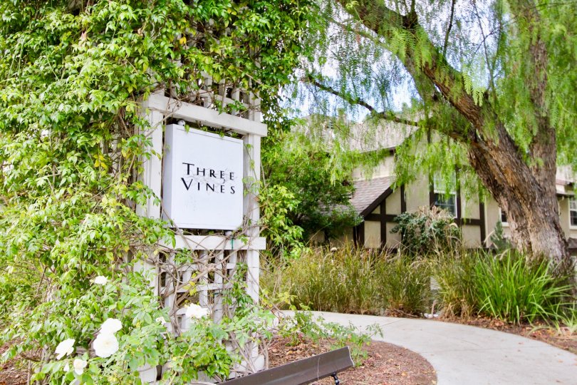 Vines and sign at the Three Vines in Ladera Ranch, CA