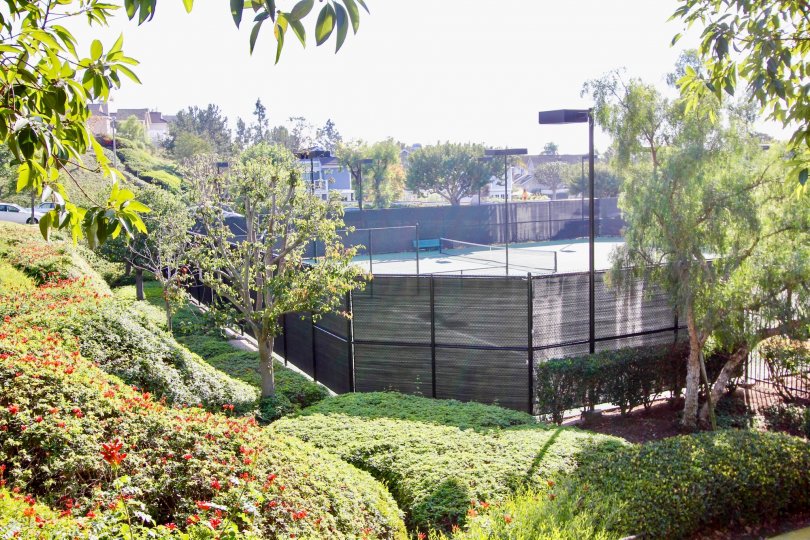 Green garden with tennis court facility in Beacon Hill Vistas