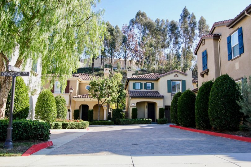 beautiful two story homes with lush greenery in the cornerstone community in laguna niguel california