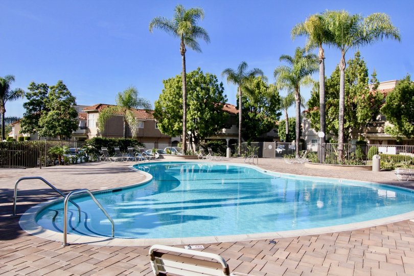 Beautiful Swimming pool with palm trees and villas around in Village Niguel Terrace II of Laguna Niguel