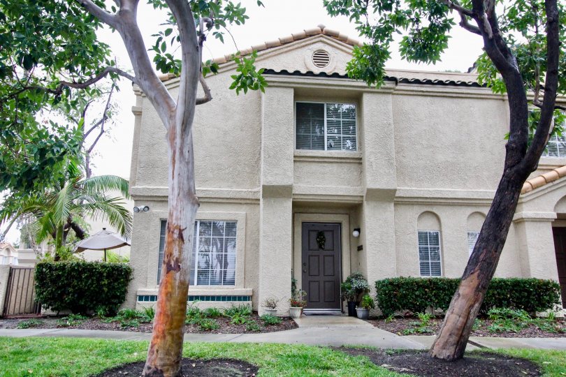 Trees and front lawn at Vista Del Flores in Lake Forest, CA
