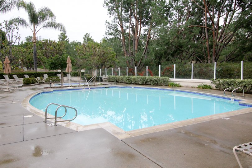 Super view of a swimming pool and relaxing chairs at the point in California Court.