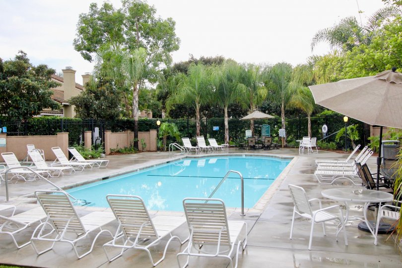 An Ordinary Swimming Pool Containing Several Chairs for Relaxation and plenty weather.