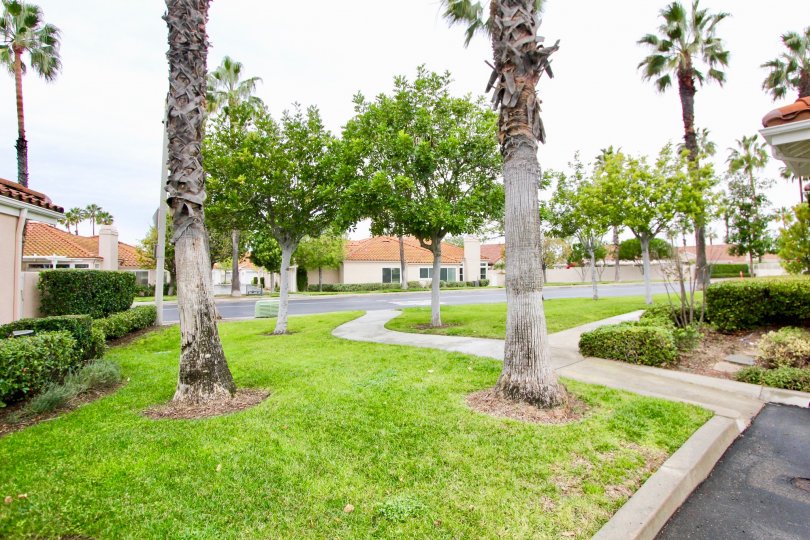Well maintained landscaping at Palmia Court 2 in Mission Viejo, California.
