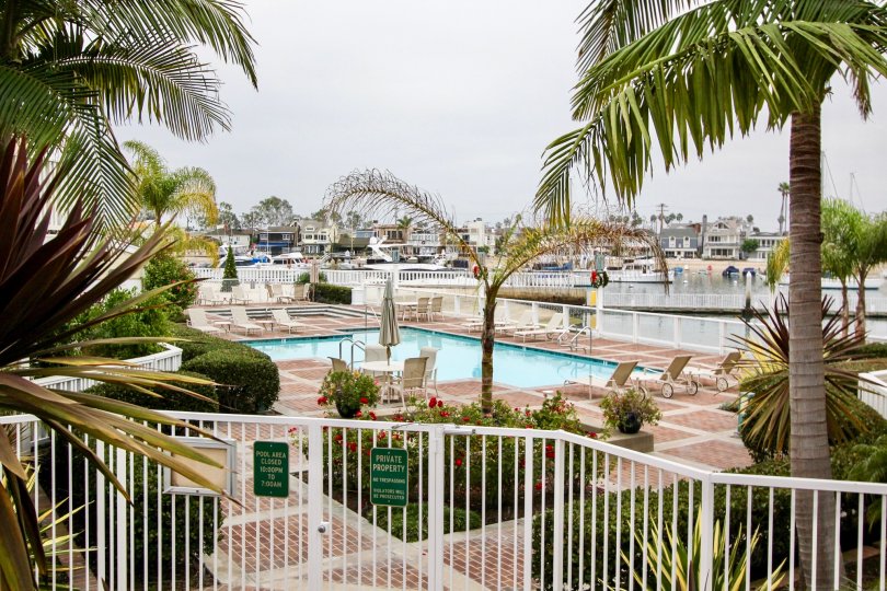 Beautiful swimming pool next to water at Bayside cove in Newport Beach CA
