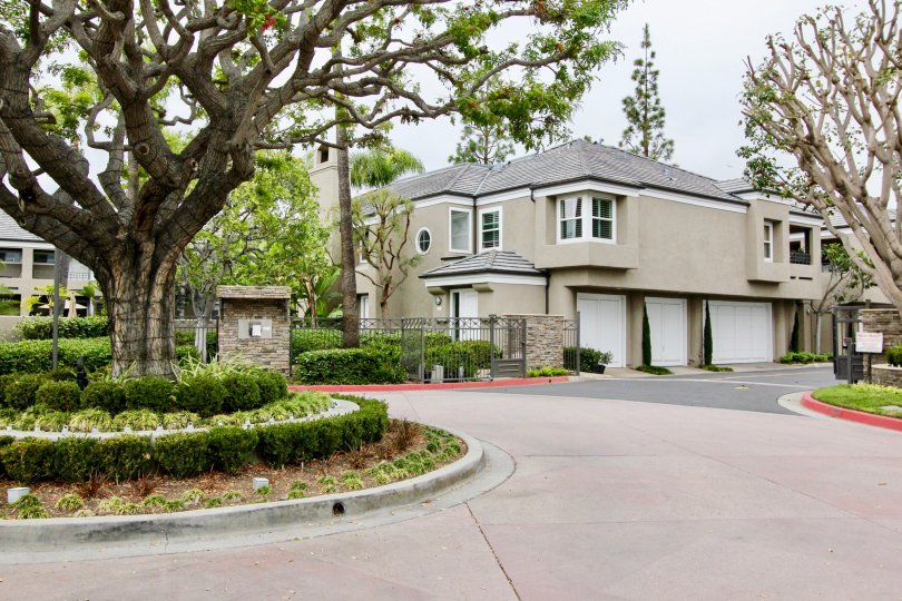 a building in the bayview court that has gated community and also a large tree that is surrounded by plants