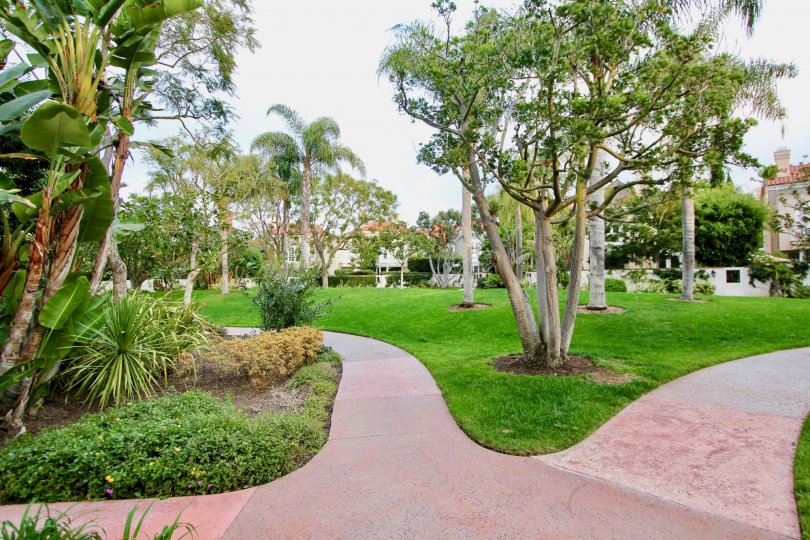 Lush lawns and inviting walkways at Belcourt Town Collection community in Newport Beach, CA