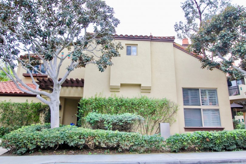 a warm day in the big canyon villas with house that has top of window and tree at front